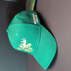 NWT,Moosehead Brewery Canadian Lager Men's Green Snapback Hat.